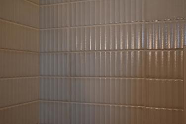 Luxurious Powder Room